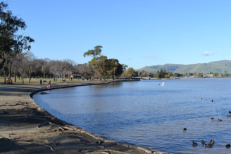 800px-Lake_Elizabeth_in_Fremont_California_cropped