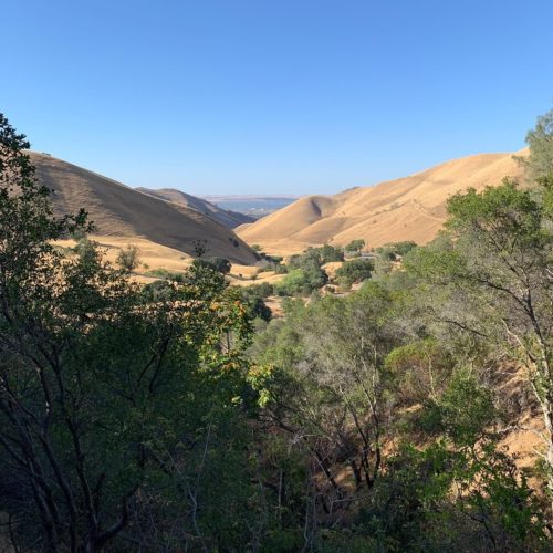 photo1jpg-500x500